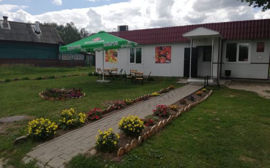 Прибыльный продовольственный магазин