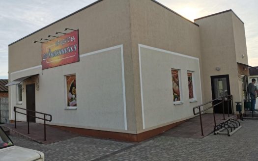 Продаются два магазина и кафе в собственности