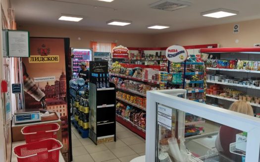 Продаются два магазина и кафе в собственности