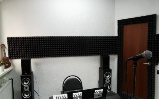 Продается музыкальная школа «#FEELVOICE»