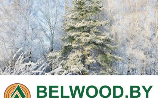 Продажа бизнеса Белорусский Лесной Портал Belwood.by