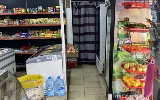 Продается действующий продуктовый магазин в собственности
