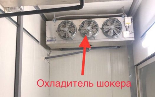 Продается производство грибов шампиньонов