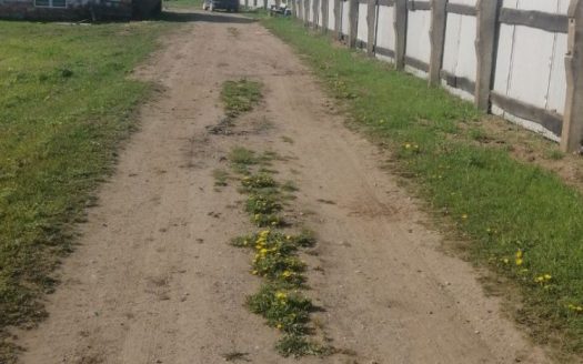 Продам личное подсобное хозяйство в Ковали