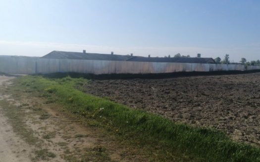 Продам личное подсобное хозяйство в Ковали