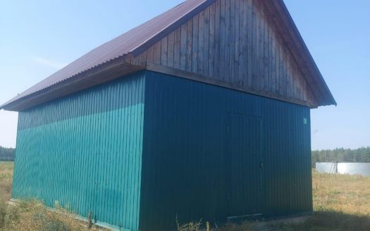 Продается плантация голубики в Беларуси